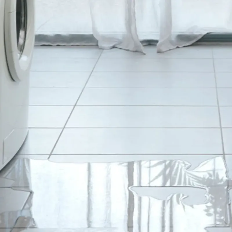 Appliance Leak Cleanup in Baldwin, WI