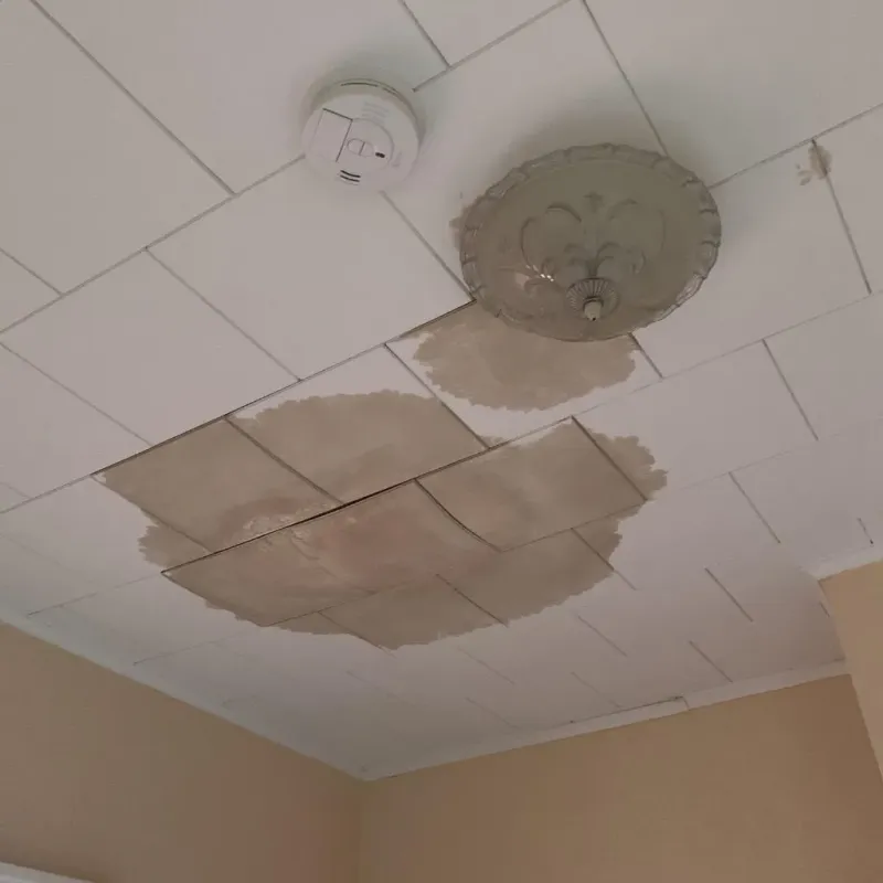Ceiling Water Damage Repair in Baldwin, WI