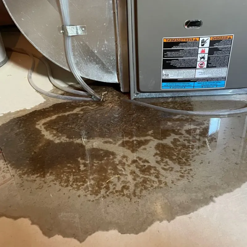 Pipe Burst and Leak Restoration in Baldwin, WI